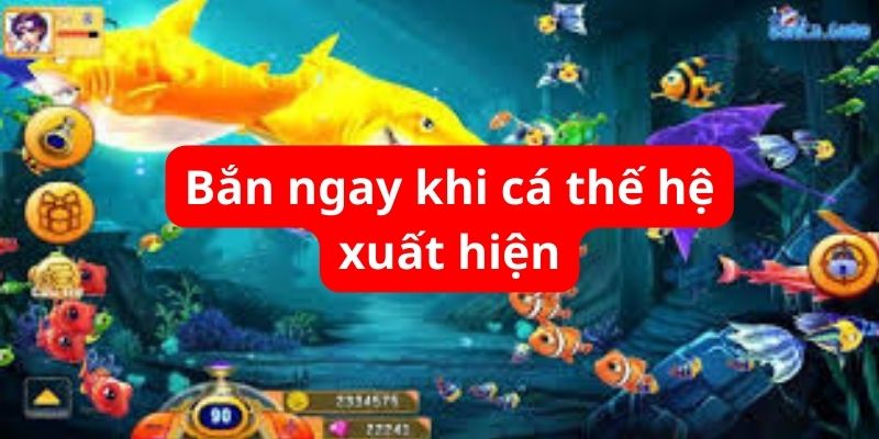 Bắn ngay khi cá thế hệ xuất hiện